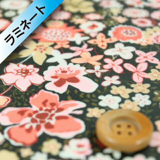 HOBBY SHOP SANDO㤨֡ڥɥ￧ۥХƥե֥å ʥڥߥ͡ȲùۡBozenka ܡ󥫡˥ԥ ХƥפβǤʤ462ߤˤʤޤ