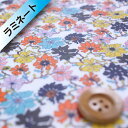 リバティ・ファブリックス タナローン【ラミネート加工】584(Sea Petals シー・ペタルズ)オレンジ&ブラウン【3637168・17B】