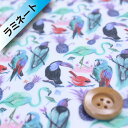 リバティ・ファブリックス タナローン【ラミネート加工】589(Birds of Paradise バーズ・オブ・パラダイス)ブルー【3637173・17B】