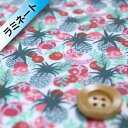 リバティ・ファブリックス タナローン【ラミネート加工】593(Ibiza Berry イビザ・ベリー)グレー&レッド【3637178・17B】