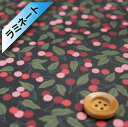 リバティ・ファブリックス タナローン【ラミネート加工】(Cherry Drop チェリー・ドロップ)ブラック&ピンク【20-36302124・P20A】