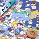 PEANUTS×リバティ・ファブリックス タナローン【ラミネート加工】(Comic Strip Cosmos コミック・ストリップ・コスモス)カラフル【DC34865・J25A】(3)