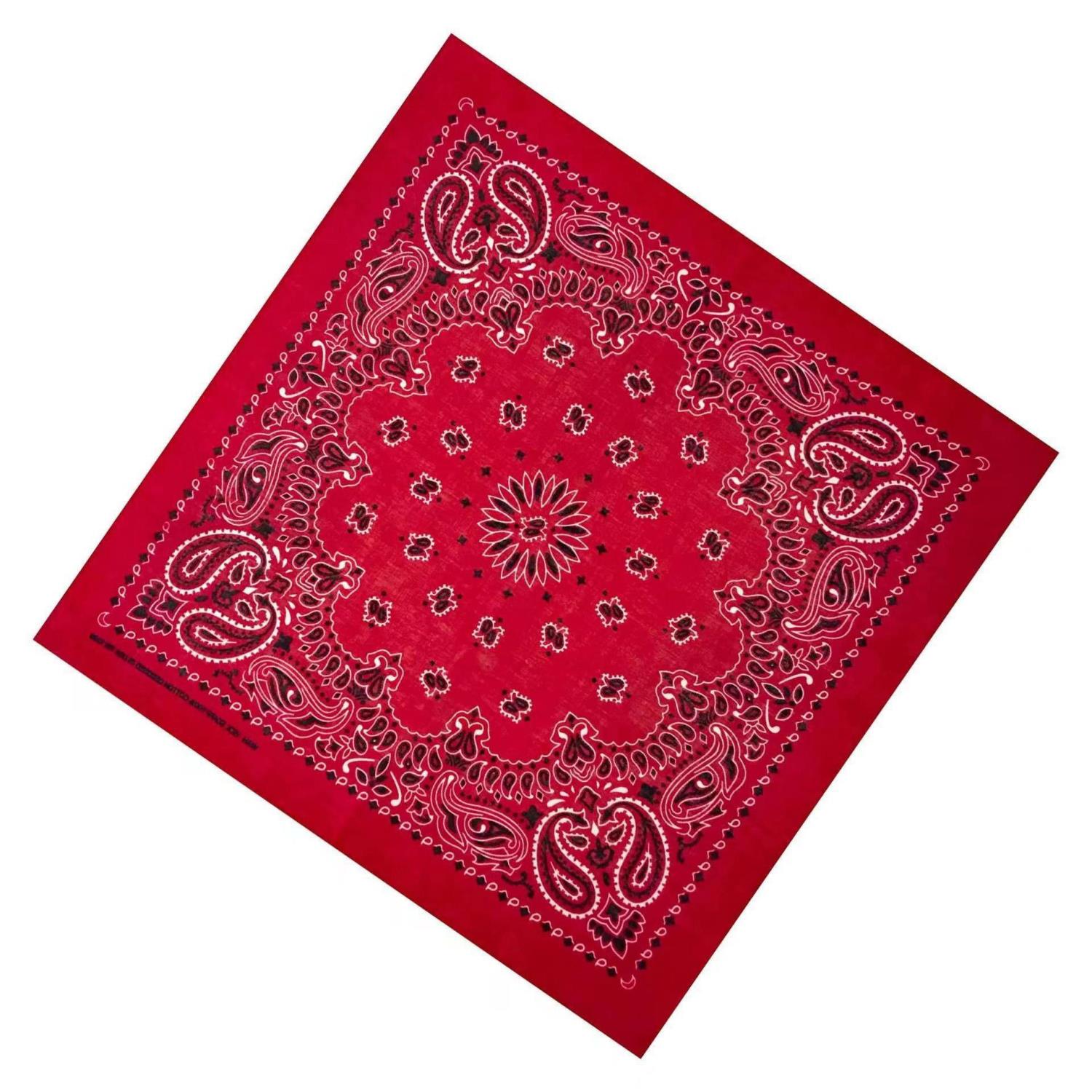 �Х���� �ڥ����꡼ �� ����������� �쥮��顼 ���̥����� (12��) Paisley Bandana 55x55