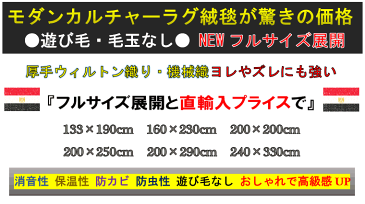 カーペット 2畳 ラグ アウトレット 訳あり 200×200 北欧 おしゃれ 絨毯 ラグマット 男前 じゅうたん 送料無料 青 ブルー 新柄 二畳 2帖 ■品名 訳あり サナクト＆カビール 約2畳 200X200cm