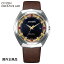  ӻ CITIZEN ꥨƥ  Eco-Drive 365 ǥ BN1010-05E  