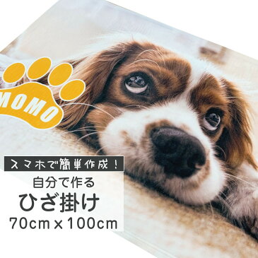 名入れ ひざ掛け が1枚から作れる【 お昼寝 に最適! 俺流デザイナー 写真プリント ブランケット おもしろ 名入れひざ掛け 作成写真プリントにも対応!オリジナル ひざ掛け 卒業記念 卒園記念 おもしろ プレゼント 名入れ 名入れ タオル 】