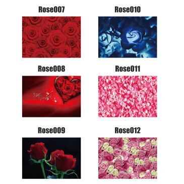 水着素材の新感覚マスク！「俺流マスク　薔薇　2枚セット　13cmx9cm」水着素材だから何度でも洗える！口元には抗菌生地で衛生的！【マスク 在庫あり 小さめ 洗える 子供用 痛くない マスク 柄 園児 おしゃれ かわいい かっこいい キッズ 洗濯 できる 何度も洗える 】