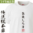 【 おもしろ プレゼント 】 おもしろtシャツ 俺流総本家 手書き風文字Tシャツ なましらす【 tシャツ 長袖 メンズ レディース ひらがな ゆる ゆるかわ 文...