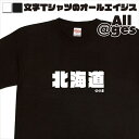 【 俺流総本家 】 漢字Tシャツ 北海道 【おもしろtシャツ ロングtシャツ ロンt ネタtシャツ 送料無料 メッセージtシャツ ネタtシャツ 文字tシャツ パロディTシャツ ふざけtシャツ メンズ レディース】
