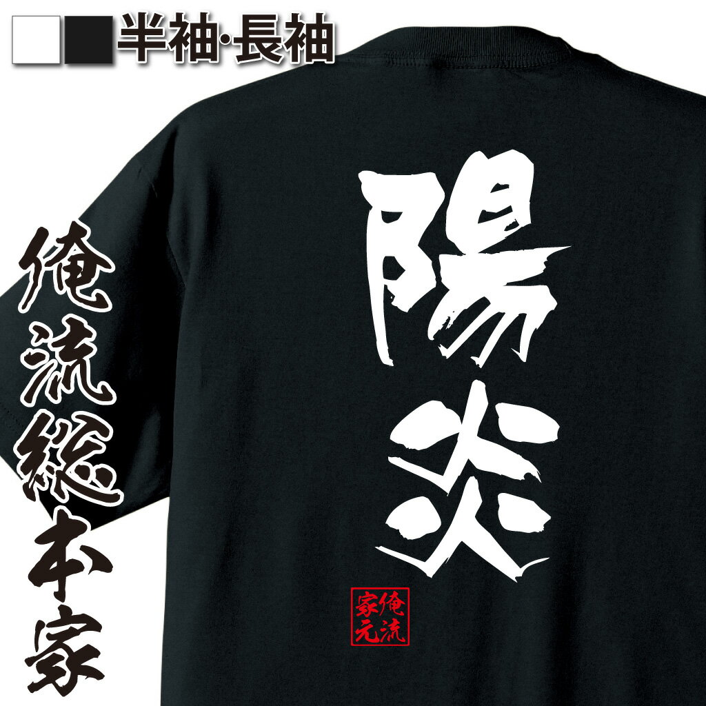 【 おもしろ プレゼント 】 おもしろtシャツ 俺流総本家 隼風Tシャツ 陽炎【 tシャツ 長袖 メンズ レディース 名言 漢字 文字おもしろ雑貨 文字tシャツ 面白いtシャツ 送料無料 文字入り 長袖 半袖 誕生日 日本 プレゼント 背中で語る 名言】
