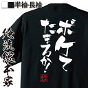 【 お買い物マラソン期間10%OFF 】 おもしろtシャツ 俺流総本家 隼風Tシャツ ボケてたまるか!【 tシャツ 長袖 メンズ レディース 漢字 文字おもしろ雑貨 文字tシャツ 面白いtシャツ 送料無料 文字入り 長袖 半袖 プレゼン 日本 プレゼント 背】