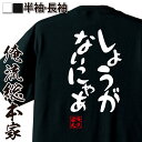 【 お買い物マラソン期間10%OFF 】 おもしろtシャツ 俺流総本家 憩楽体Tシャツ しょうがないにゃあ【 tシャツ 長袖 メンズ レディース 名言 文字 メ...