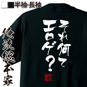 【お買い物マラソン期間20％OFF 】 おもしろtシャツ 俺流総本家 隼風Tシャツ それ何てエロゲ？【 tシャツ 長袖 メンズ レディース 名言 文字 メッセージtシャツ 文字tシャツ 文字入り プレゼント産 白 黒 バックプリント おもしろ ふざけ 背中で】