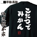 おもしろtシャツ 俺流総本家 魂心Tシャツ こたつでみかん