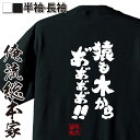 【 おもしろ プレゼント 】おもしろtシャツ 俺流総本家 魂心Tシャツ 猿も木からあ″あ″あ″あ″あ″あ″!!!【 tシャツ 長袖 メンズ レディース 漢字 文...