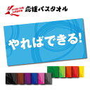 【 おもしろ プレゼント 】 名入れ 応援 バスタオル (約)60cm×120cm【1枚から作れる 大判 タオル 名入れ 記念品 贈呈 還暦 誕生日 バースデー...