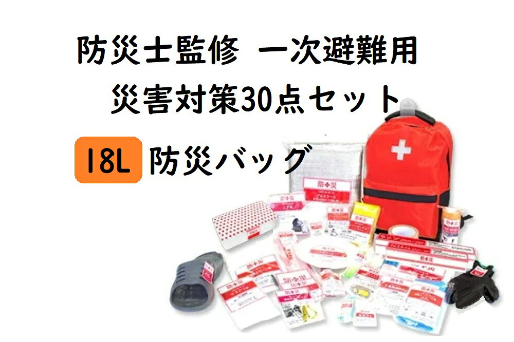 【自家用車にも防災バッグを常備することをお勧めいたします。】 防災バッグ 30点セット