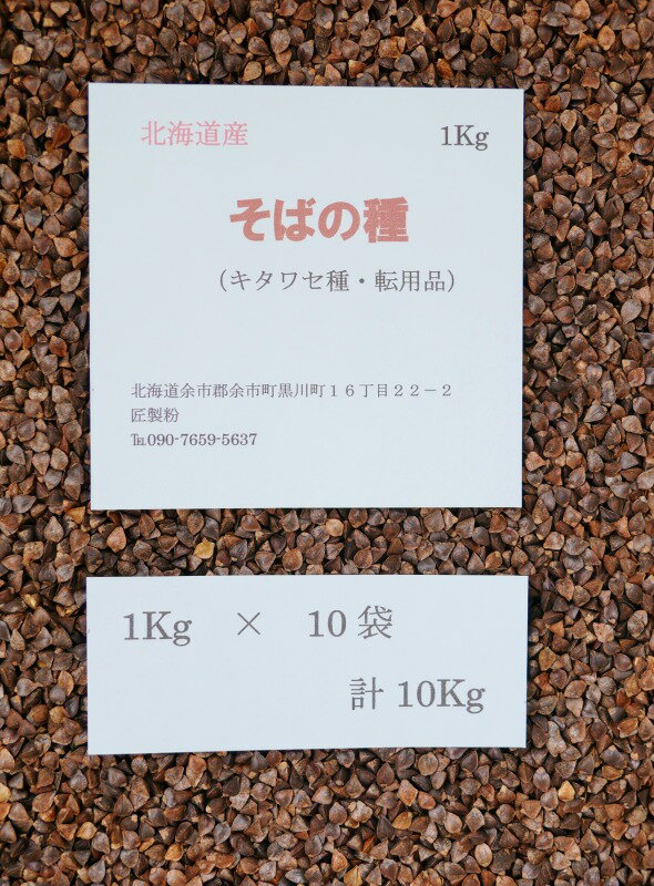 そばの種 10Kg 北海道産 転用品　キタワセ種　【送料無料】　家庭菜園用 1