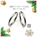 楽天1位 純チタン ペアリング 指輪 チタンリング 2mm ペア 2本セット 刻印無料 アレルギーフリー レディース マリッジリング 結婚指輪 金属アレルギー ...