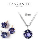 金属アレルギー negoziettoペンダントトップ タンザナイト (12月) 5mm ペンダント トップ ステンレス 天然石 誕生石 6本爪 [ネックレス チ...