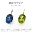 (見積り) ペンダントトップ プラチナ PT900 K18 18金 ペリドット ロンドンブルートパーズ ガーネット 誕生石【チェーン別売】 ネックレストップ イ...