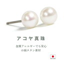 チタン ピアス 本真珠 アコヤ真珠 パール 両耳用 低アレルギー スタッドピアス 本パール 4mm 4.5mm 5mm 7.5mm 6月誕生石 レディース 金属...