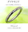 楽天1位 天然ダイヤモンド 指輪 1本 刻印無料 アレルギーフリー 純チタンリング レディース マリッジ 結婚指輪 金属アレルギー ジュエリー 天然石 大きい ペアリング 宝石 ブライダル ジューンブライド(ND) インデックスリング サムリング ピンキー ファッションリング