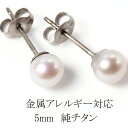 金属アレルギー negoziettoスタッドピアス 純チタン ポスト 5mm 淡水パール 1粒 ピアス 低アレルギー素材 w0v17-pt50 シンプル チタン100% 天然パール 一粒 フォーマル (ND) ファーストピアス セカンドピアス