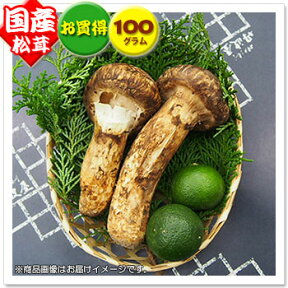 【国産松茸】約100g：岡山・兵庫県産／岩手県産