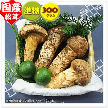 【国産松茸】：進物松茸：約300g(約4〜10本)：岡山/兵庫産・岩手県産