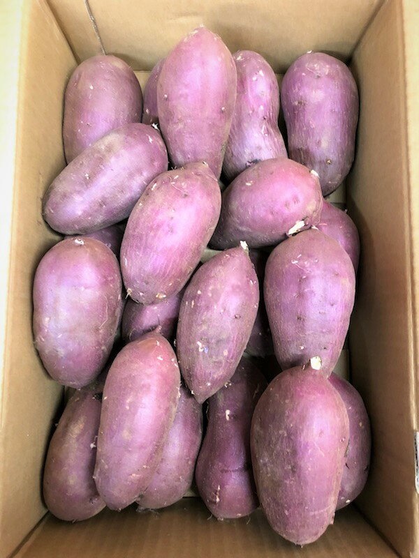 【さつまいも】紅はるか(茨城県産)：約5kg：Mサイズ甘くて蜜たっぷり！やわらかく、しっとりとした食感で人気！！のサムネイル