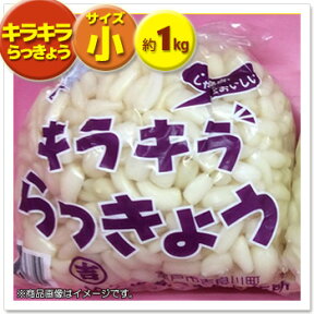 【洗いらっきょう】高知県室戸産・S・約1kg