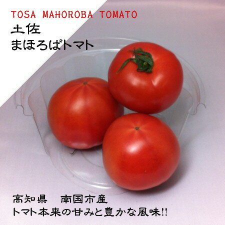 【土佐まほろばトマト】：約1.5kg（約20〜28個）のサムネイル