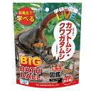 【送料無料】学研の図鑑ライブ バスボール ビッグ カブトムシ クワガタムシ マスコット入り 香り付き GKN-8-01