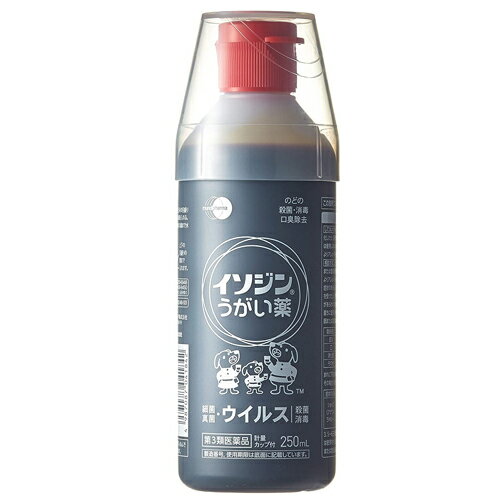 【第3類医薬品】イソジンうがい薬 250ml