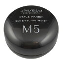 【送料無料】資生堂 ステージワークス ステージワークス トゥルーエフェクター マット A 80g