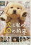 犬と私の10の約束 /田中麗奈 加瀬亮【中古】【邦画】中古DVD 200円
