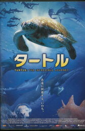 タートル 永遠に回避する、いのち。　【字幕・吹き替え】【中古】【洋画】中古DVD