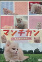 マンチカン 〜短足子猫の物語〜【中古】中古DVD