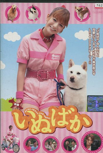 映画 いぬばか / スザンヌ　徳山秀典【中古】【邦画】中古DVD