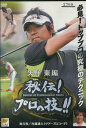 GOLF秘伝!プロの技!! 矢野東 編 　進行役 内藤雄士【中古】中古DVD