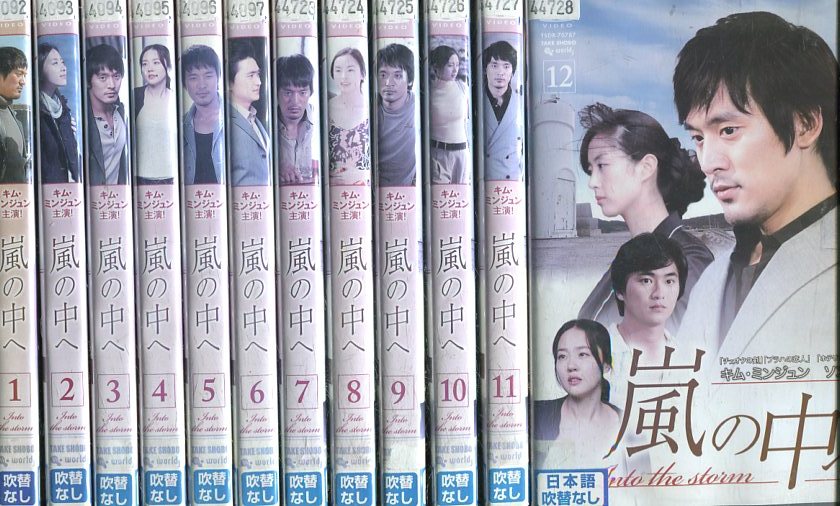 嵐の中へ【全12巻セット】【吹替え無し】キム・ミンジョン【中古】全巻【洋画】中古DVD