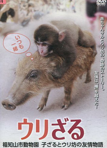 ウリざる 福知山市動物園 こざるとウリ坊の友情物語【中古】【邦画】中古DVD