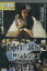 飼育の部屋 終のすみか スペシャル・エディション /小沢和義【中古】【邦画】中古DVD 650円