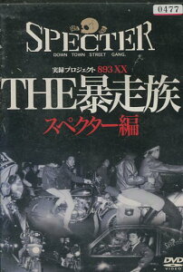 実録プロジェクト893XX THE暴走族 スペクター編 /岡崎礼【中古】【邦画】中古DVD