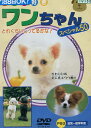 動物大好き ワンちゃん スペシャル50【中古】中古DVD