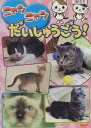 ニャンニャン だいしゅうごう!【中古】中古DVD