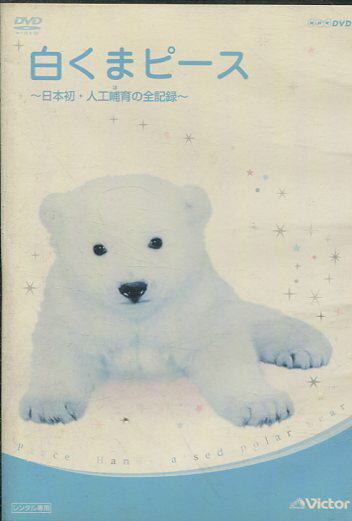 白くまピース 日本初・人工哺育の全記録【中古】中古DVD
