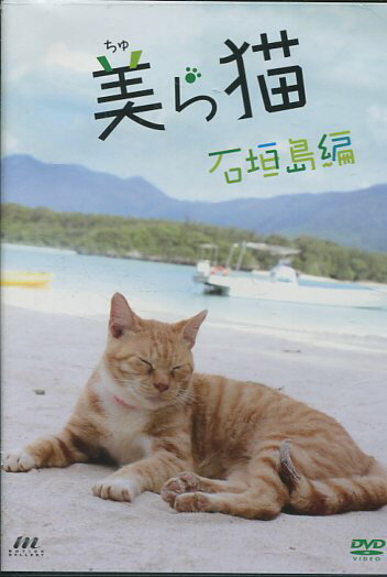 美ら猫　石垣島編【中古】中古DVD