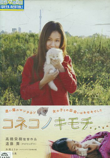 コネコノキモチ　/遠藤舞　井上直美【中古】【邦画】中古DVD